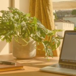 JD Scott + Co sunny desk with laptop and plant