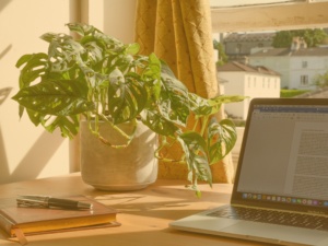 JD Scott + Co sunny desk with laptop and plant